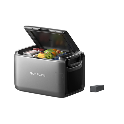 EcoFlow Kühlbox mit geöffnetem Deckel zeigt frische Lebensmittel und entnehmbare Batterie daneben