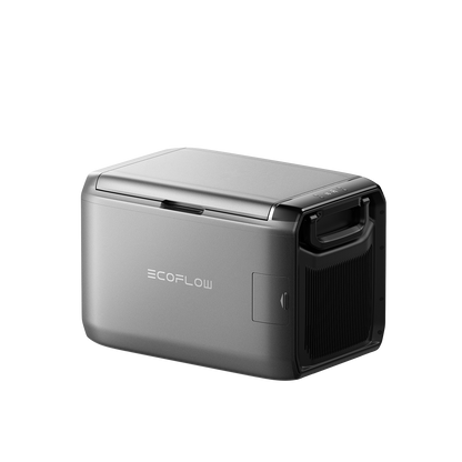 Ecoflow Glacier Classic Kühlbox in silber mit geschlossenem Deckel seitliche Ansicht und Tragegriff sichtbar.